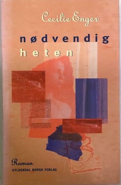 Nødvendigheten. Roman