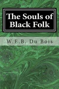 image of The Souls of Black Folk