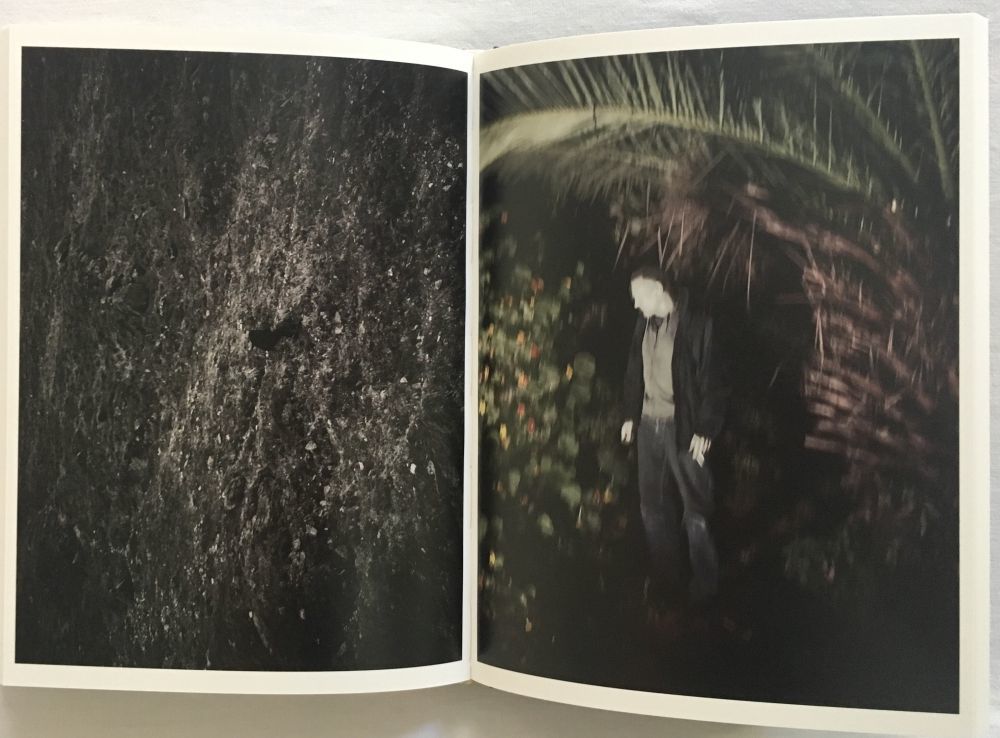 Self-Portraits 1987-2017 by D'AGATA, Antoine (Marsiglia, 1961