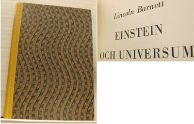Einstein och universum.