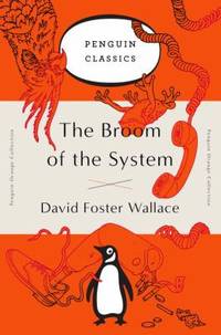 image of The Broom of the System