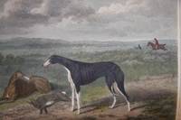 British Field Sports; Embracing Practical Instructions in Shooting--Hunting--Coursing--Racing--Cocking--Fishing, &c. With Observations on the Breaking and Training of Dogs and Horses; Also the Management of Fowling Pieces, and All Other Sporting Implements by William Henry Scott - First edition - 1818 - from White Fox Rare Books and Antiques (SKU: 001347)