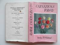 Carnations today