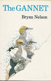 The Gannet