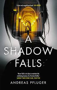 A Shadow Falls: 2 (A Jenny Aaron Thriller)