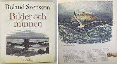Bilder och minnen.