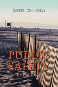 Public Safety:A Novel of 1941