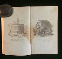 PICTURE OF A FACTORY VILLAGE:; to which are annexed, remarks on lotteries, by Sui Generis: alias, Thomas Man