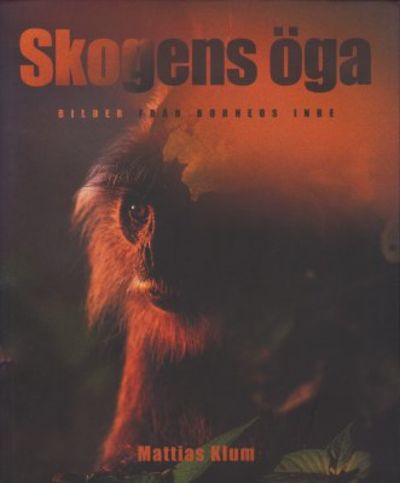 Skogens öga. Bilder från Borneos inre.