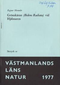 Grönskäran (Bidens Radiata) vid Hjälmaren.