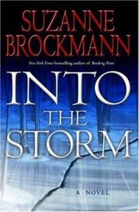 cover of Into the Storm