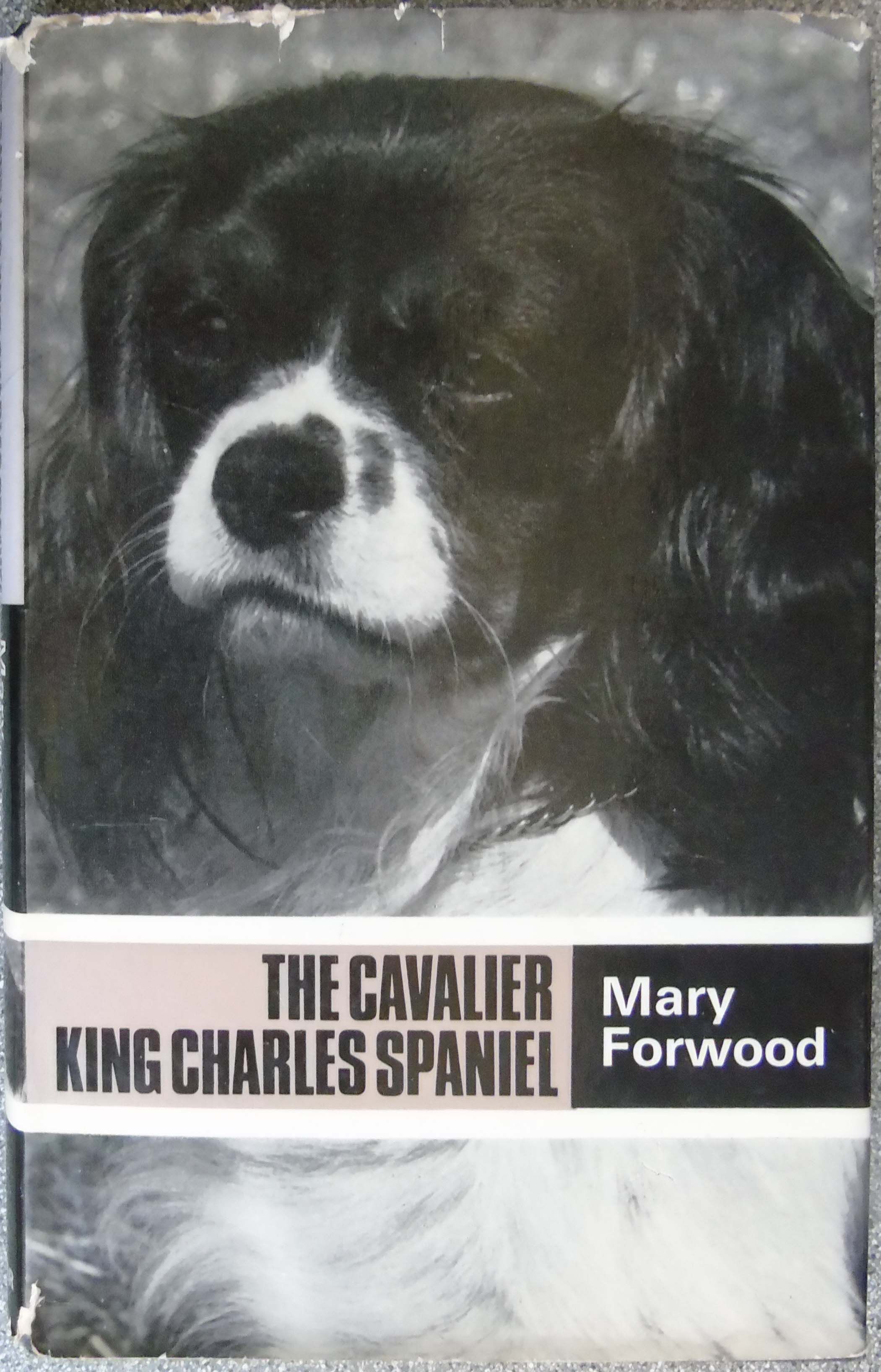 The Cavalier King Charles Spaniel by Forwood, Mary 1972