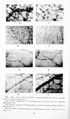 Kinematographic methods in the study of capillary circulation IN American Journal of Physiology, Vol. 68, pp 153-160