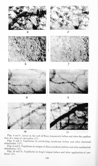 Kinematographic methods in the study of capillary circulation IN American Journal of Physiology, Vol. 68, pp 153-160