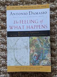 The Feeling of What Happens