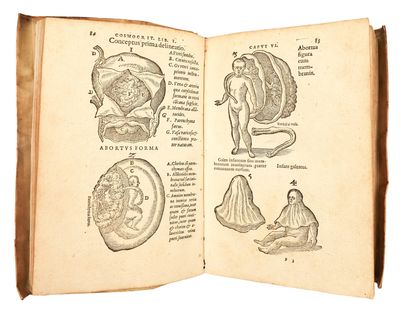De Naturae Divinis Characterismis; seu Raris & admirandis spectaculis, causis, indiciis, proprietatibus rerum in partibus singulis universi, Libri II. Auctore D. Corn. Gemma, Louaniensi, Regio Medicinae professore. Peculiarem partis utriusque materiem vel argumentum sequens pagina planius explicabit