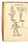 De Naturae Divinis Characterismis;...; (photo 2)
