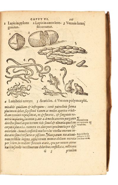 De Naturae Divinis Characterismis;...; (photo 5)