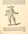 De Naturae Divinis Characterismis;...; (photo 6)
