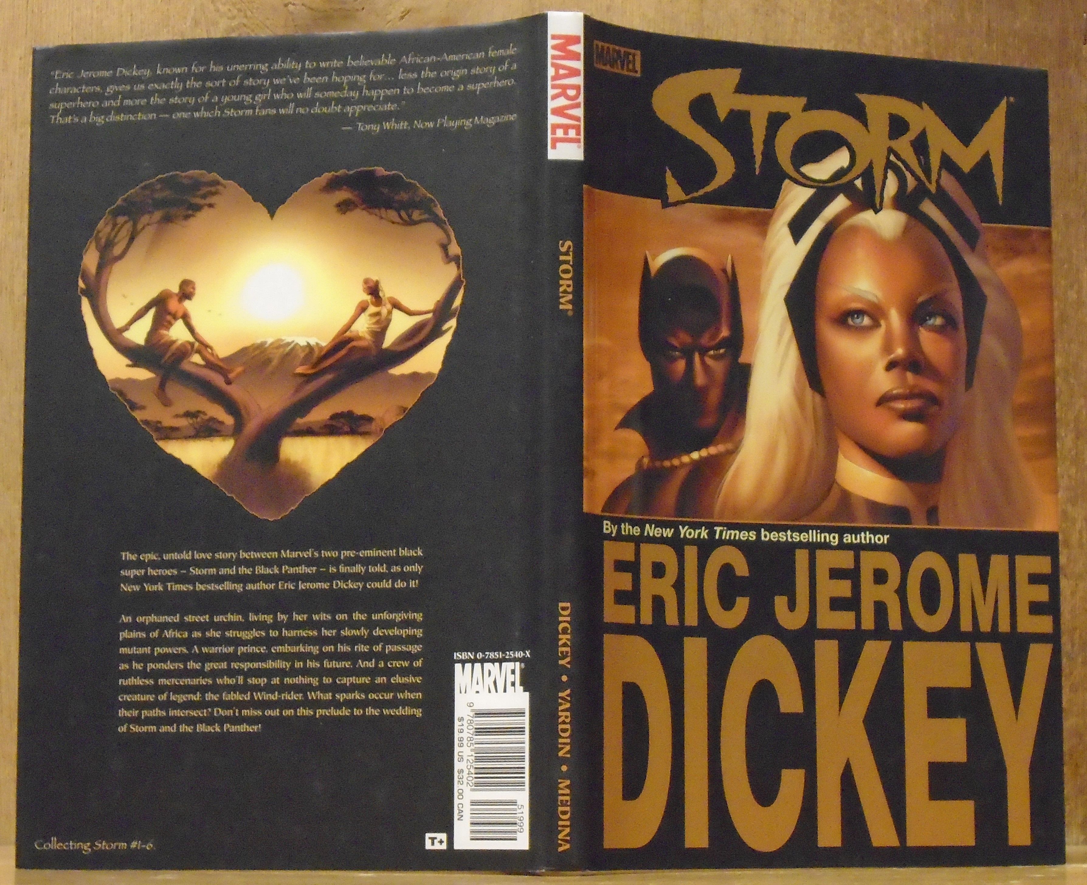 MARVEL STORM エリック・ジェローム・ディッキー 洋書 Storm, Book One (I,1) of Storm Series (Graphic Novel) by Dickey