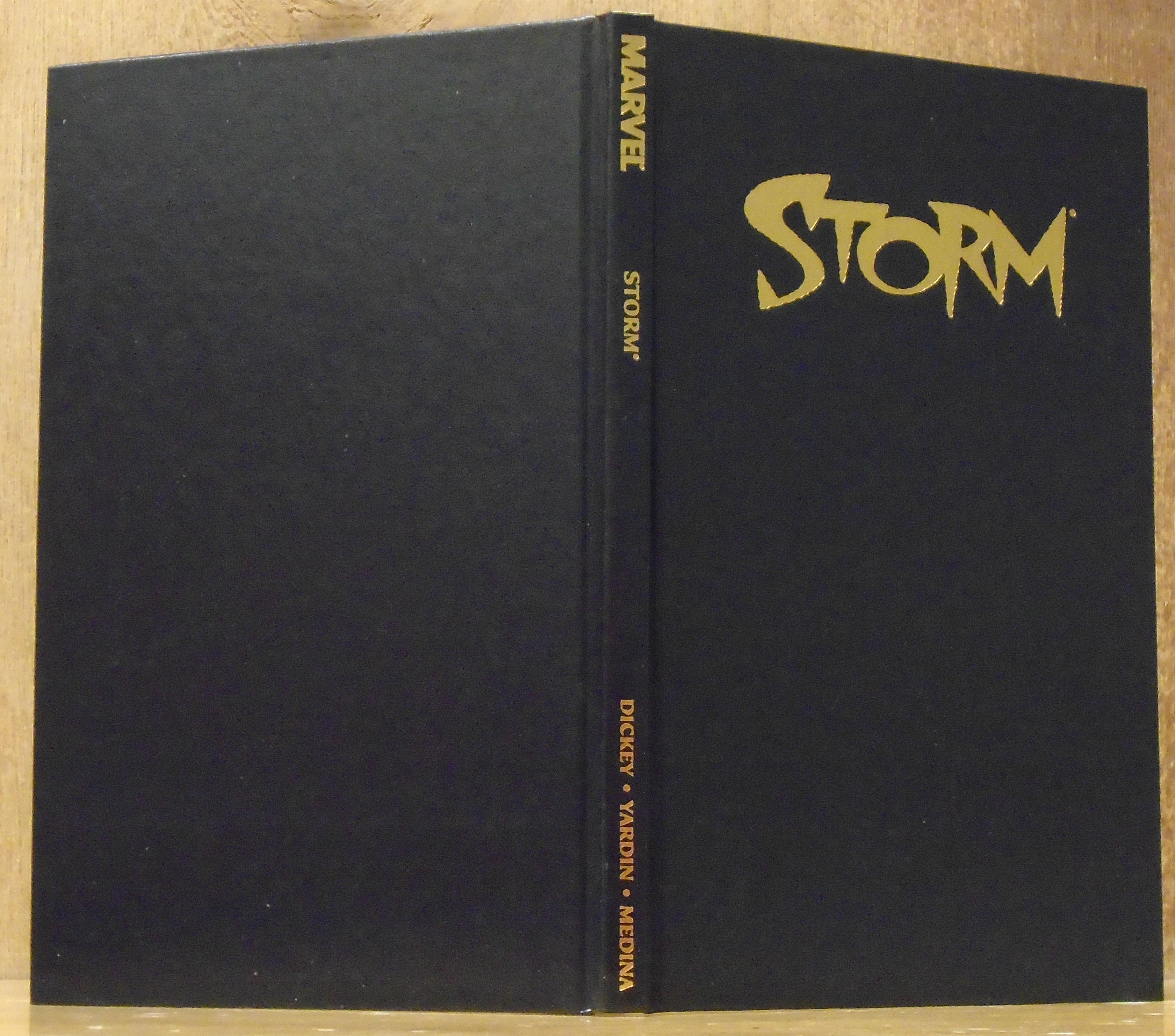 Storm, Book One (I,1) of Storm Series (Graphic Novel) by Dickey