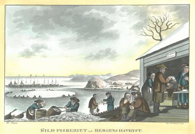 Sild Fiskeriet ved Bergens Havkyst.