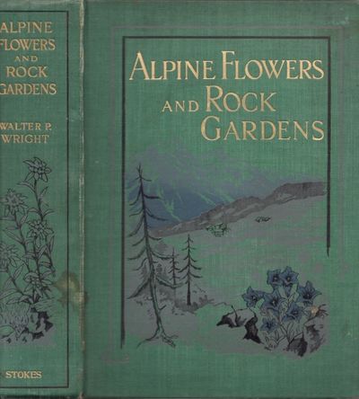 Alpine Flowers and Rock Gardens