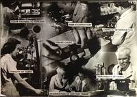 Promotional Materials - A Visual Narrative Told in 26 Oversized Pictures - The Daroff - Botany 500 Apparel Co