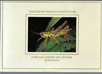 cover of National Audubon Society Pocket Guide Insects and Spiders
