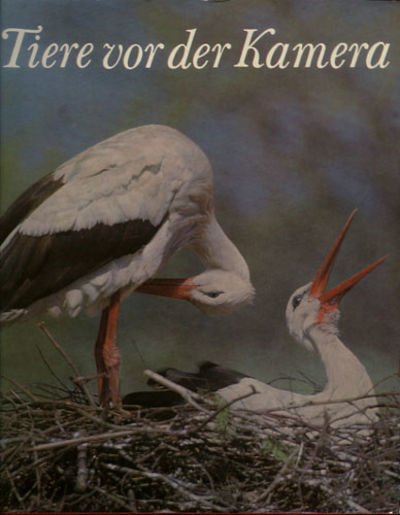 Tiere vor der Kamera.