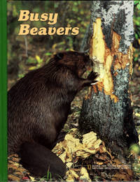 Busy Beavers (Books for Young Explorers)