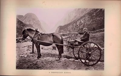 Souvenir Series of Norwegian Views (Bindtittel). Fotoalbum (150 x 240 mm). ca. 1890. 50 fotografier fra Norge. Originalt dekorert helsjirtingbind. Helt gullsnitt. (photo 2)