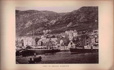 Souvenir Series of Norwegian Views (Bindtittel). Fotoalbum (150 x 240 mm). ca. 1890. 50 fotografier fra Norge. Originalt dekorert helsjirtingbind. Helt gullsnitt. (photo 3)
