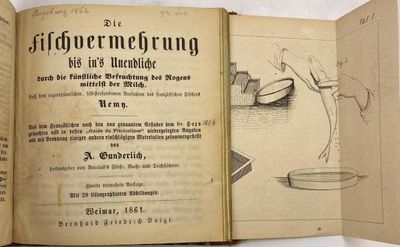 Die Fluß-, Bach- und Teich-Fischerei oder über das künstliche Ausbrüten und Aufziehen der wichtigsten, schmackhaftesten und beliebtesten Fische in Flüssen, Bächen und Teichen, und über die Ursachen der Abnahme dieser schwimmenden Bevölkerungen, welcher a (photo 2)