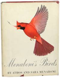 Menaboni's Birds