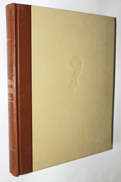 大きな取引 Liuteria Italiana dell'ottocento e del Novecento by Azzolina 書