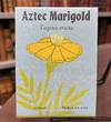 Aztec Marigold