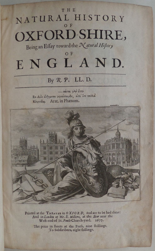 Home by warsan shire theme image