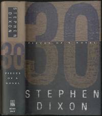 30 Pieces of a Novel