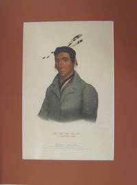 Ka-Ta-Wa-Be-Da, A Chippeway Chief