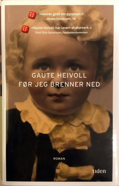 Før jeg brenner ned. Roman