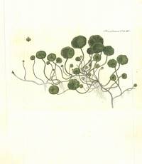 Plansje XC fra Flora Danica. Andre hefte.