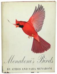 Menaboni's Birds