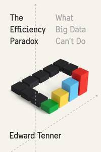 The Efficiency Paradox : What Big Data Can't Do