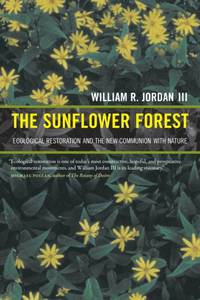 Sunflower Forest