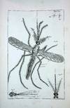 53 FOLIO PLATES. The Book of Nature; or, The History of Insects: Reduced to Distinct Classes, Confirmed by Particular Instances, Displayed in the Anatomical Analysis of Many Species, and Illustrated with Copper-plates. Including the Generation of the Frog, the History of the Ephemerus, the Changes of Flies, Butterflies, and Beetles; with the Original Discovery of the Milk-Vessels of the Cuttle-Fish, and Many Other Curious Particulars. By John Swammerdam, M.D. With the Life of the Author, by Herman Boerhaave, M.D. Translated from the Dutch and Latin Original Edition, by Thomas Flloyd. Revised and Improved by Notes from Reaumur and Others, by John Hill, M.D.