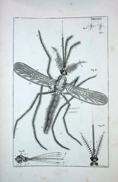 53 FOLIO PLATES. The Book of Nature; or, The History of Insects: Reduced to Distinct Classes, Confirmed by Particular Instances, Displayed in the Anatomical Analysis of Many Species, and Illustrated with Copper-plates. Including the Generation of the Frog, the History of the Ephemerus, the Changes of Flies, Butterflies, and Beetles; with the Original Discovery of the Milk-Vessels of the Cuttle-Fish, and Many Other Curious Particulars. By John Swammerdam, M.D. With the Life of the Author, by Herman Boerhaave, M.D. Translated from the Dutch and Latin Original Edition, by Thomas Flloyd. Revised and Improved by Notes from Reaumur and Others, by John Hill, M.D.