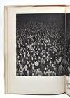 View Image 3 of 4 for Weegee’s People Inventory #219665