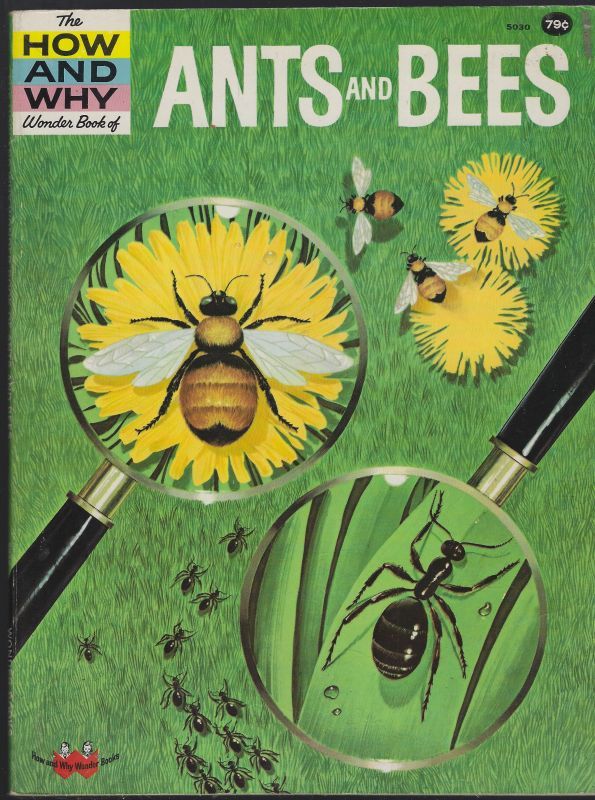 HOW AND WHY WONDER BOOK OF ANTS AND BEES