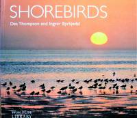image of Shorebirds